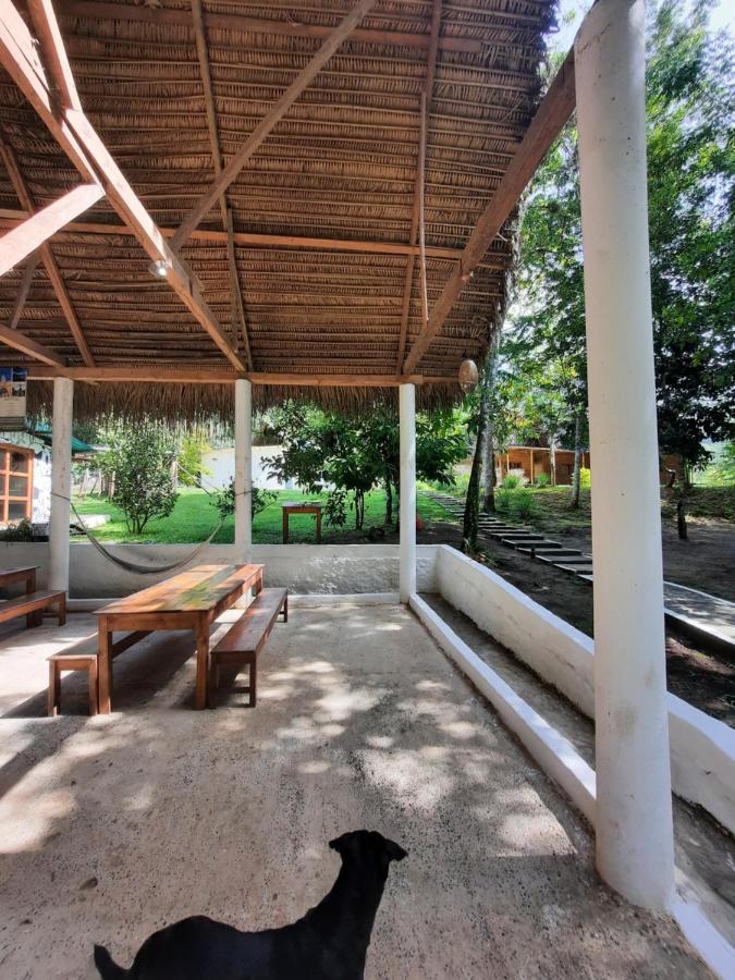 Pachamaya River Hostel Lanquín エクステリア 写真