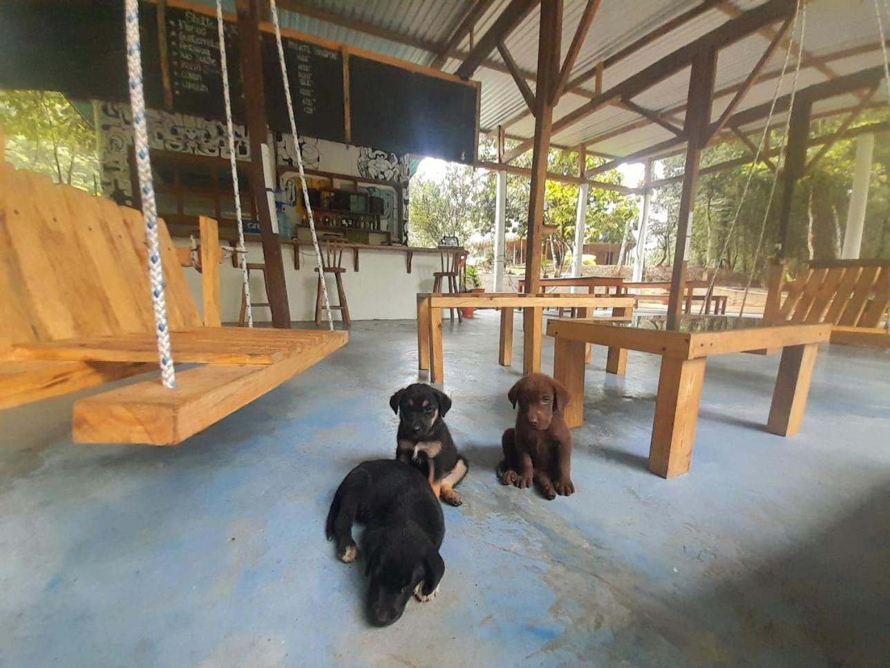 Pachamaya River Hostel Lanquín エクステリア 写真